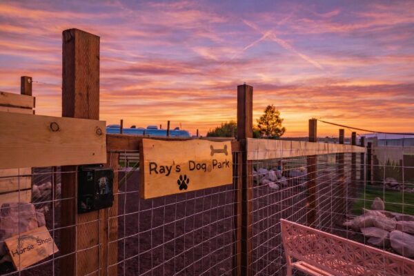 Gemini_Generated_Image_pa70nupa70nupa70